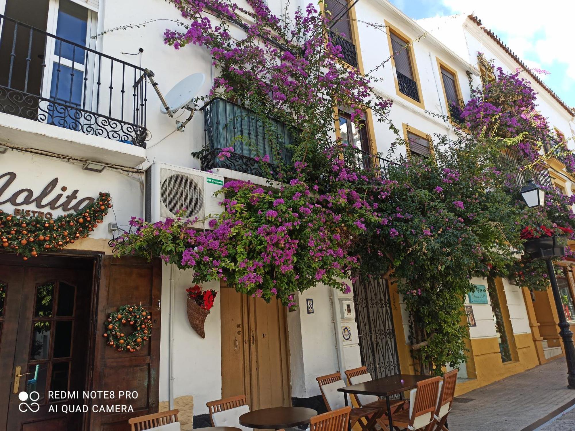 Bambino Playa Marbella Exterior foto